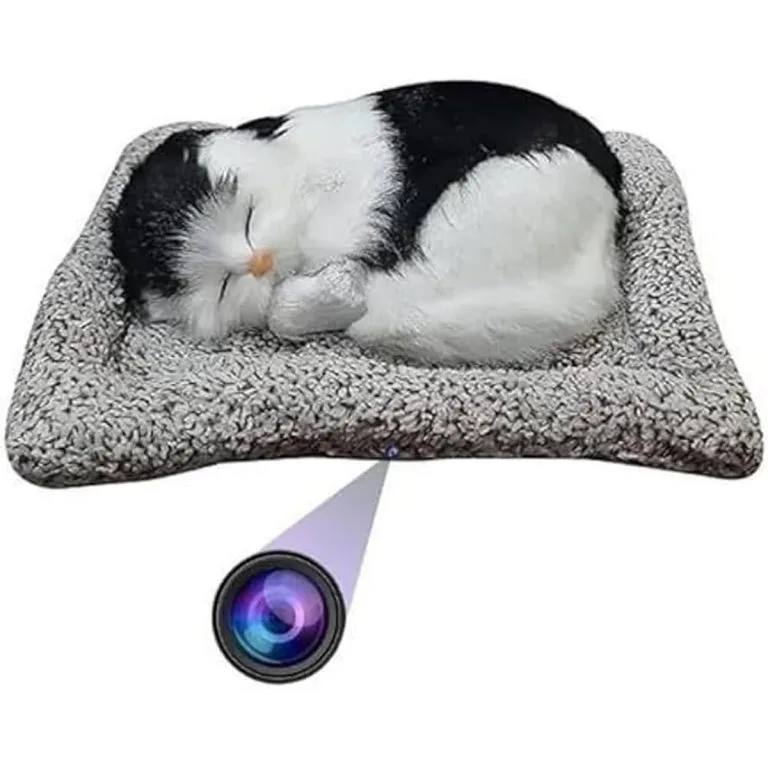 wifi cat toy spy camera for car full hd Bengaluru
